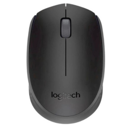 Мышь беспроводная Logitech M171 [910-004643]